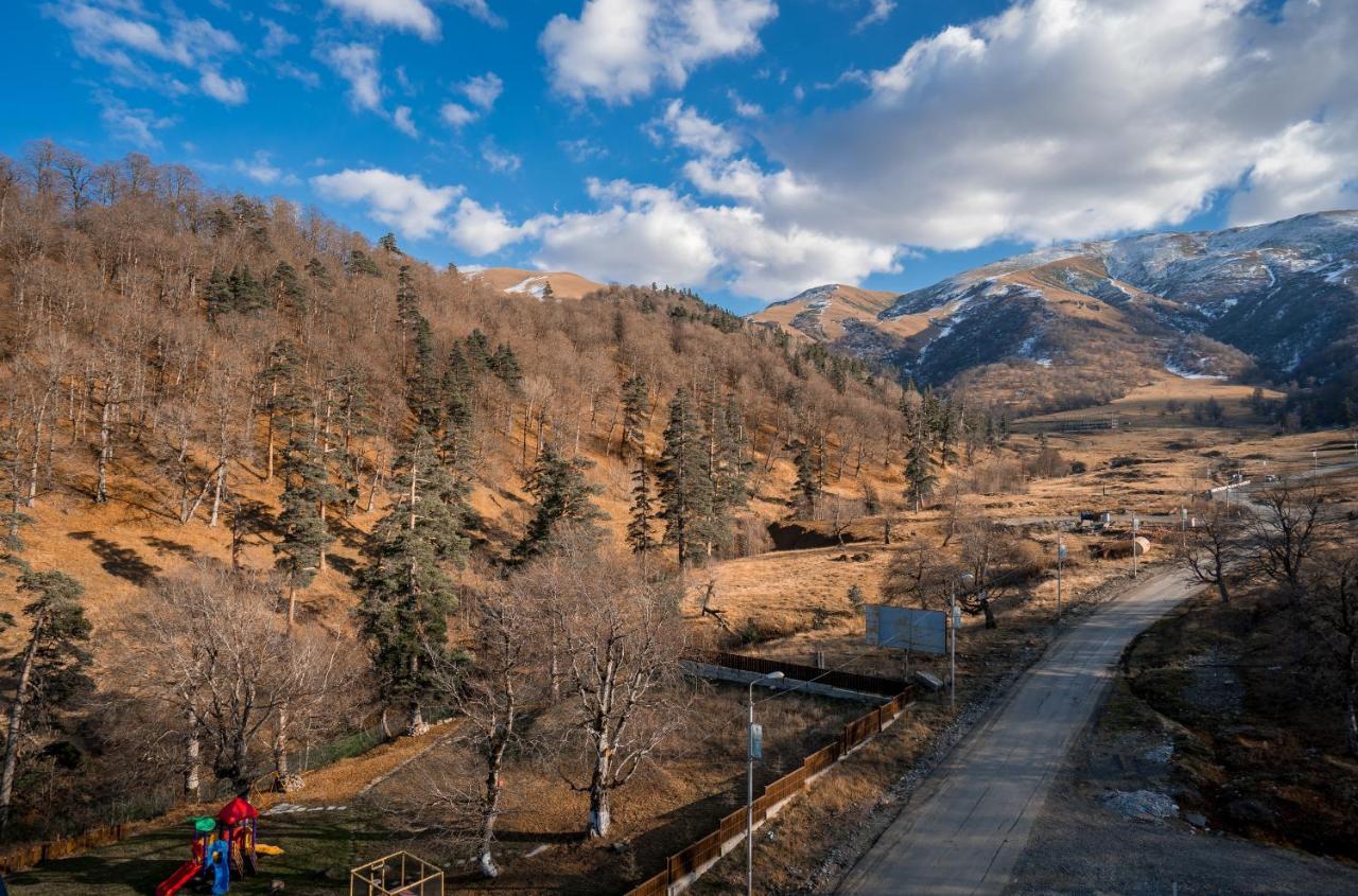 The Valley Бакуриани Экстерьер фото