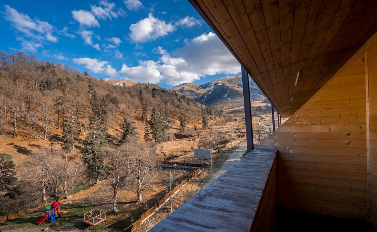 The Valley Бакуриани Экстерьер фото